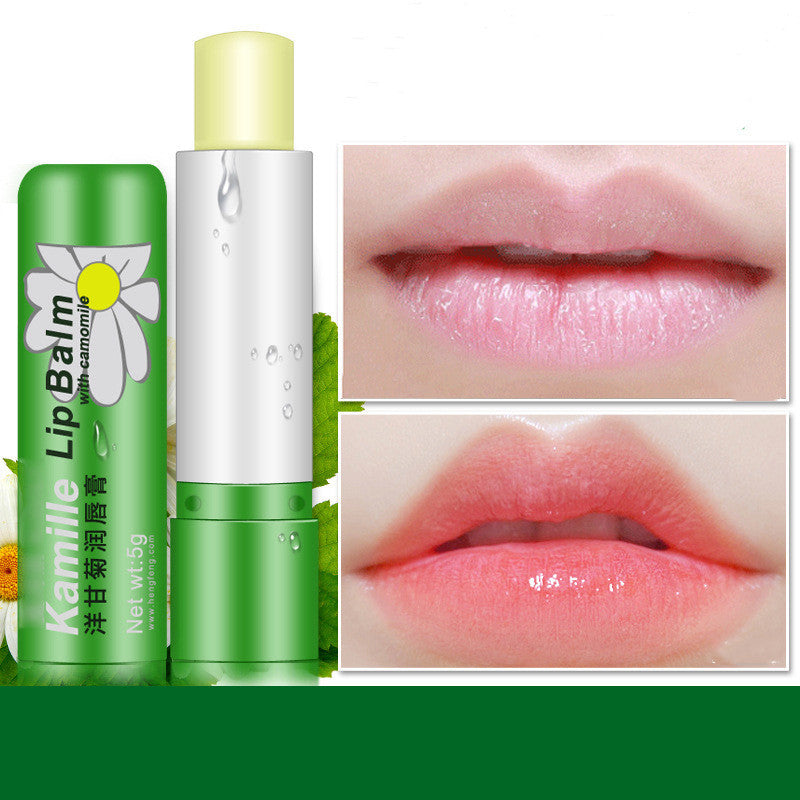 Natural Moisturizing Repair Lip Balm