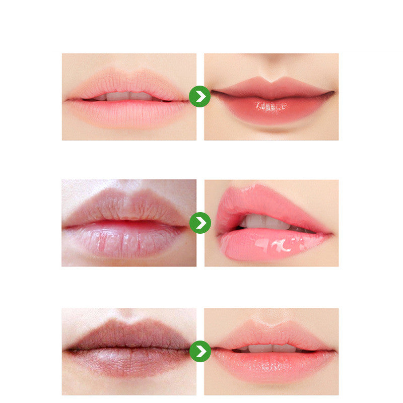 Natural Moisturizing Repair Lip Balm